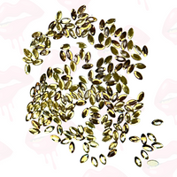 Oval 'Navette' Shape Tooth Gem (10, 20 & 50 pieces)