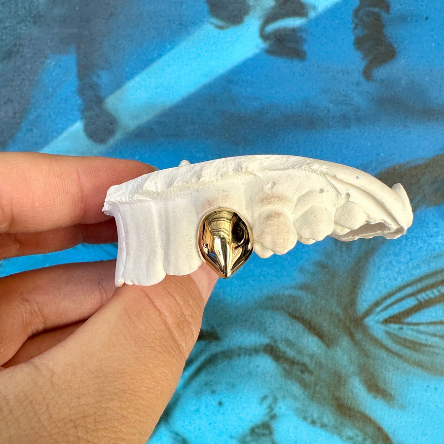 Single Fang Caps - Grillz Australia