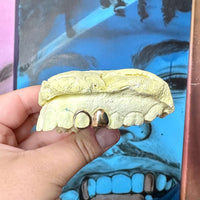 3 Piece Bar & 2 Stack Grillz Set - Grillz Australia