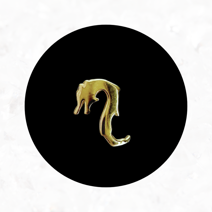 Dragon Tooth Charm