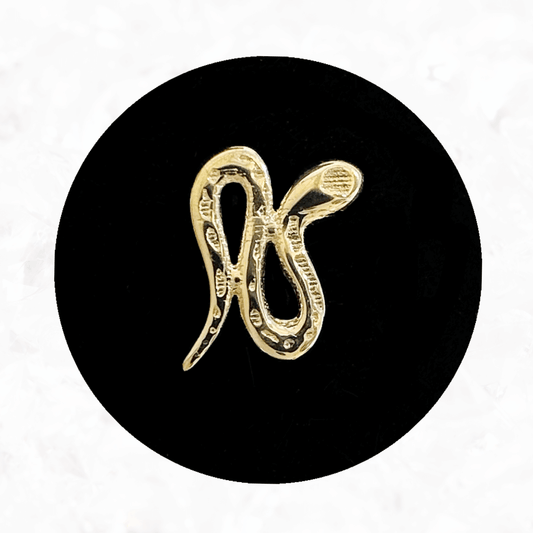 Snake Tooth Charm